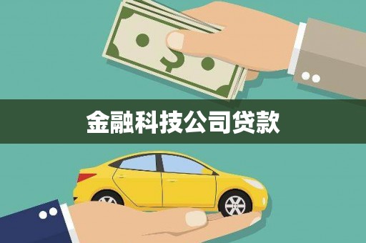 金水金融科技公司贷款