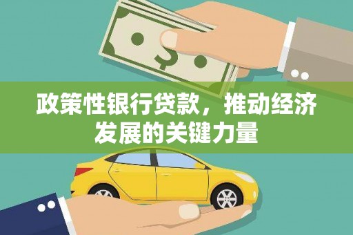金水政策性银行贷款，推动经济发展的关键力量