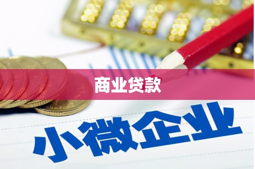 金水商业贷款