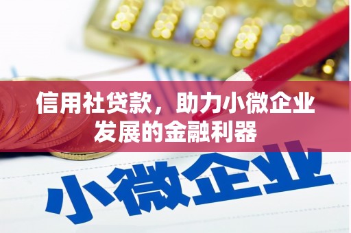 金水信用社贷款，助力小微企业发展的金融利器