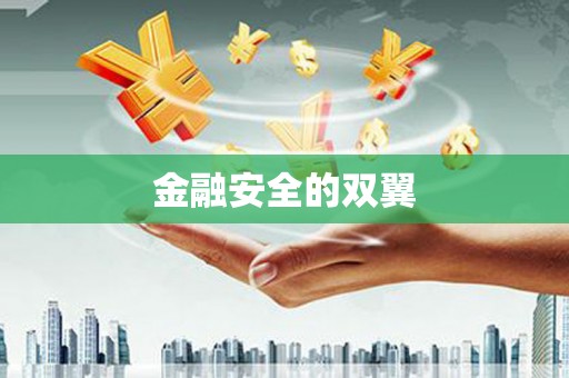 金水金融安全的双翼