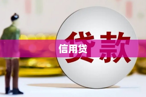 金水信用贷