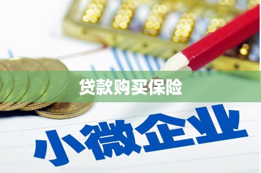 金水贷款购买保险