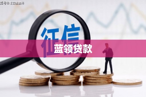 金水蓝领贷款