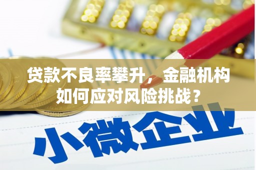 金水贷款不良率攀升，金融机构如何应对风险挑战？