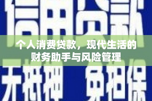 金水个人消费贷款，现代生活的财务助手与风险管理