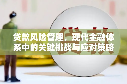金水贷款风险管理，现代金融体系中的关键挑战与应对策略