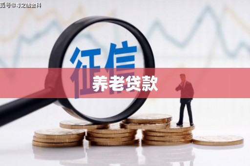 金水养老贷款
