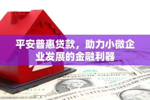 金水平安普惠贷款，助力小微企业发展的金融利器
