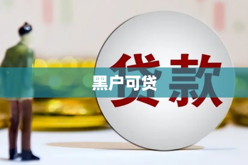 金水黑户可贷