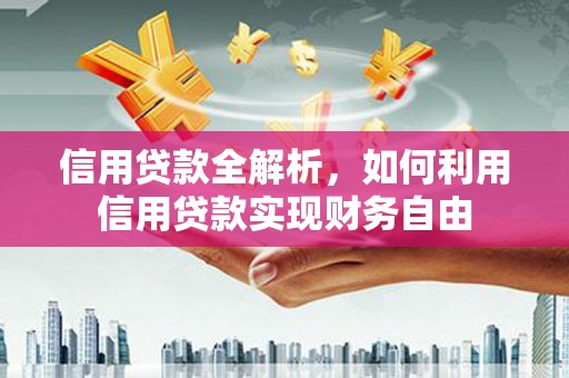 金水信用贷款全解析，如何利用信用贷款实现财务自由
