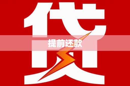 金水提前还款