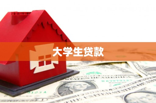 金水大学生贷款
